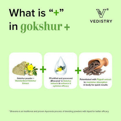 Vedistry Gokshur Tablets - Distacart