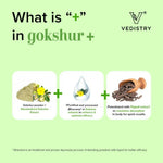 Thumbnail for Vedistry Gokshur Tablets - Distacart