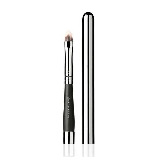Proarte Retractable Lip Brush PL-37 - Distacart