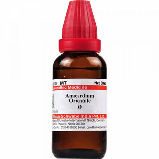 Dr. Willmar Schwabe India Anacardium Orientale Mother Tincture Q