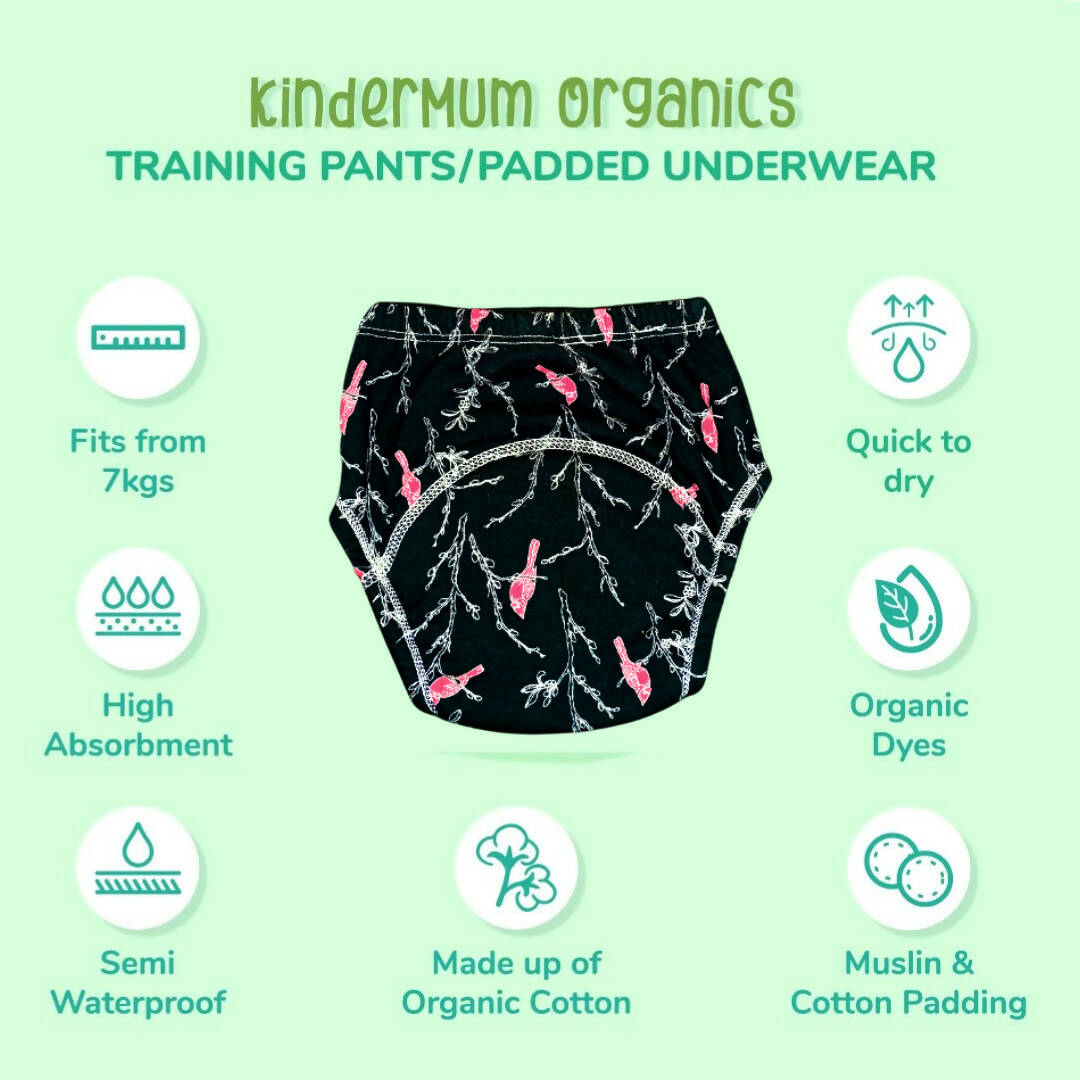 Kindermum Cotton Padded Pull Up Training Pants/ Padded Underwear For Kids Rugby Sparrow-Set of 2 Pcs - Distacart