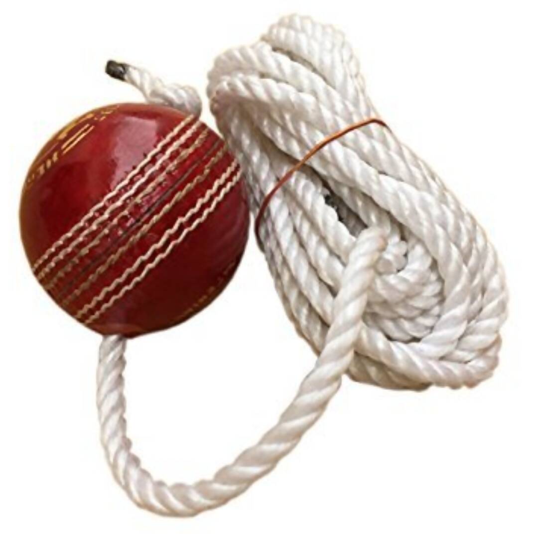 Tima Leather Cricket Shot Practice Hanging Ball - Distacart