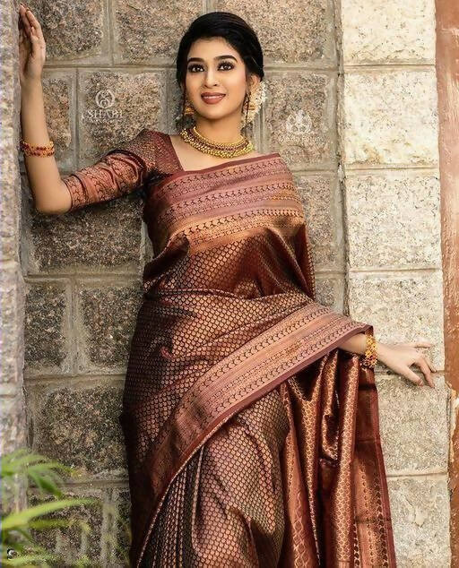 DEIANA'S Beautiful Golden Jari with New Design Soft Lichi Silk Saree - Brown - Distacart