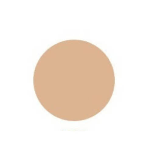 Innisfree My Foundation 3.1 - N27 Sand uses