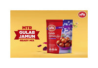 Thumbnail for MTR Gulab Jamun Mix  