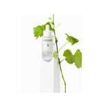 Thumbnail for Caudalie Paris Vinoperfect Radiance Serum Complexion Correcting - Distacart