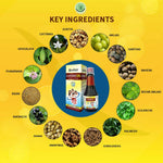 Thumbnail for Dr. Sarkar's Allen Ayur Herbals Livosin DS Tonic - Distacart
