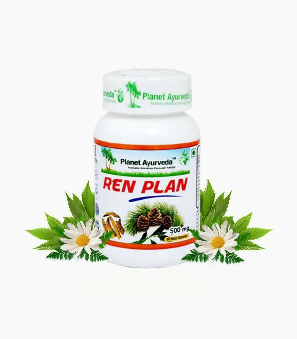 Planet Ayurveda Ren Plan Capsules - Distacart