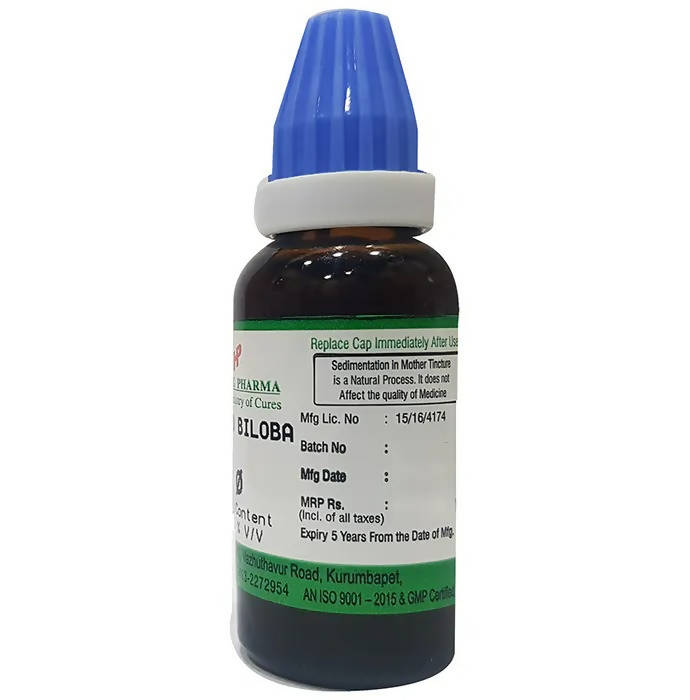 Hering Pharma Ginkgo Biloba Mother Tincture Q - Distacart