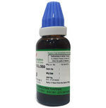 Thumbnail for Hering Pharma Ginkgo Biloba Mother Tincture Q - Distacart