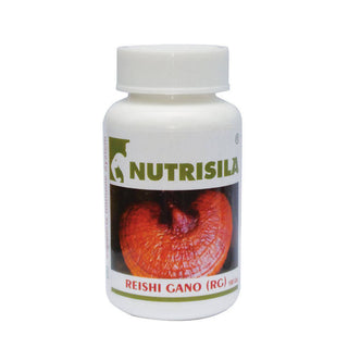 Extasy Nutrisila Reishi Gano (RG) Capsules - Distacart