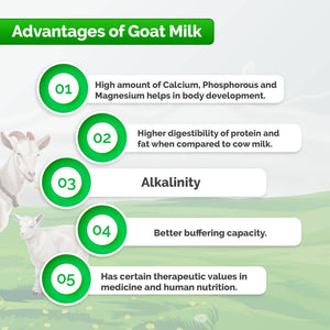 Aadvik Goat Milk Powder (200 Gm) - Distacart