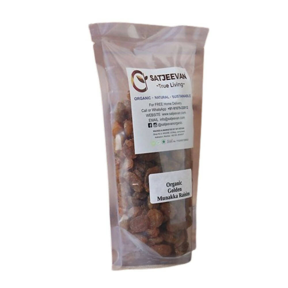 Satjeevan Organic Golden Munakka Raisins - Distacart