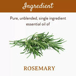 Thumbnail for Mitti Se Rosemary Essential Oil - Distacart