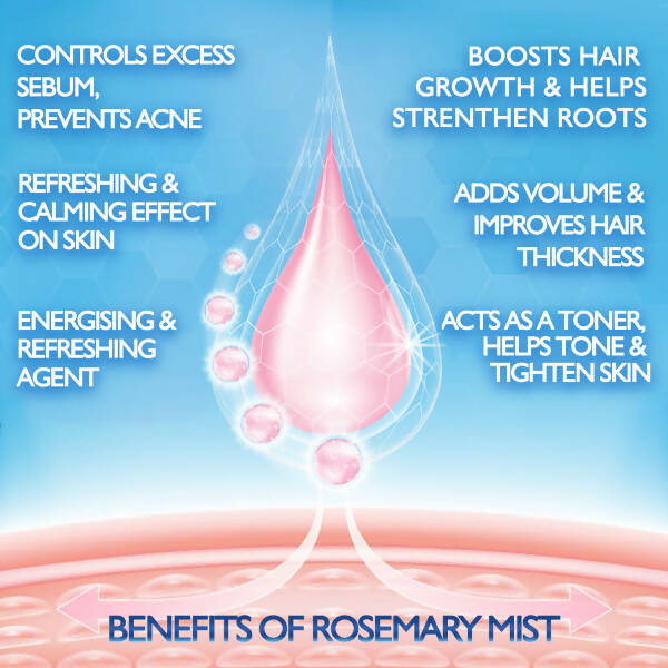 Sarva by Anadi Rosemary Face Mist - Distacart