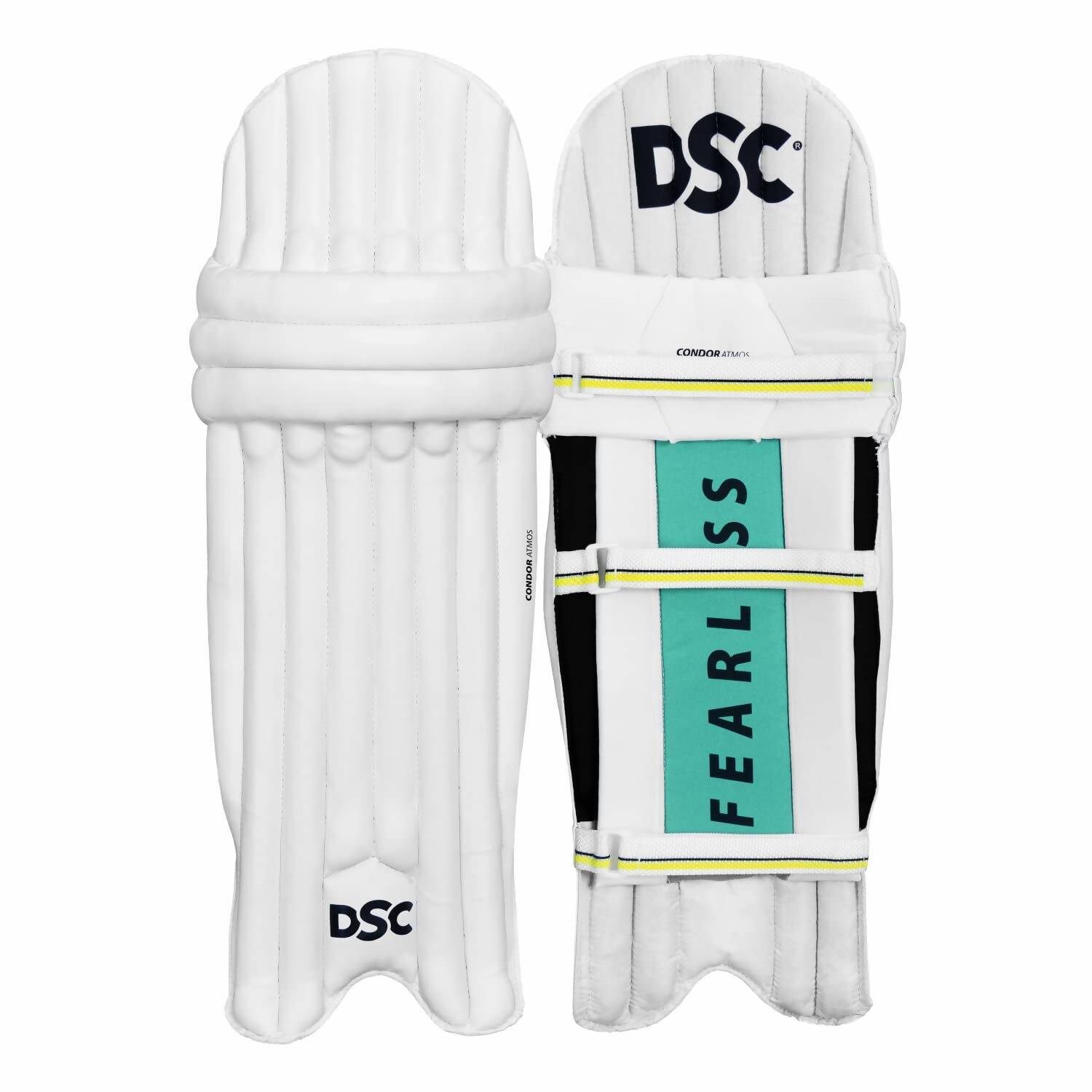 DSC Economy Kashmir Willow Cricket Kit (Size 5) - Distacart