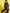 Lyush Brown Zebra Quilted Bomber Jacket For Girls - Distacart