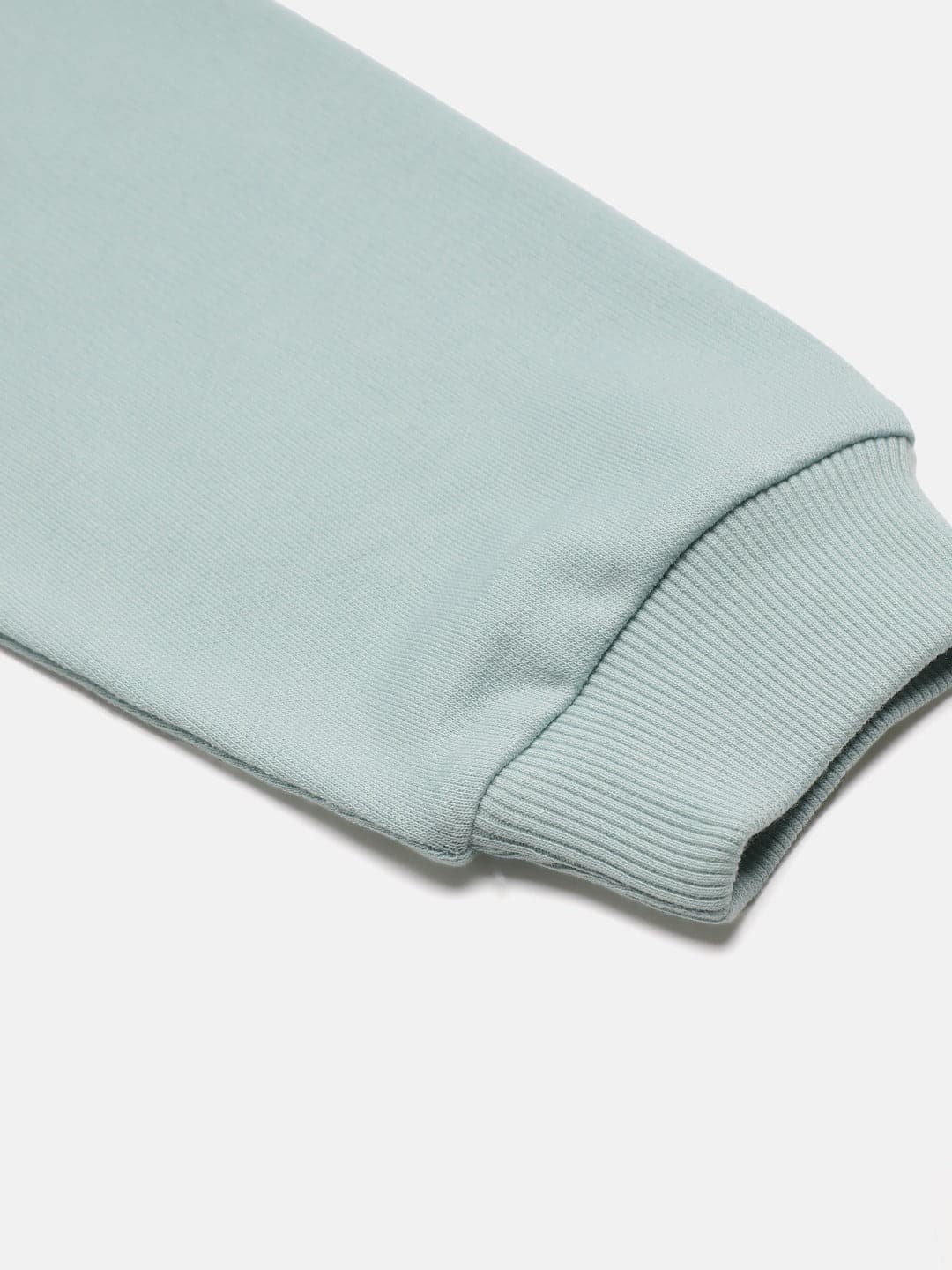 Lyush Sea Green Terry Sweatshirt For Girls - Distacart
