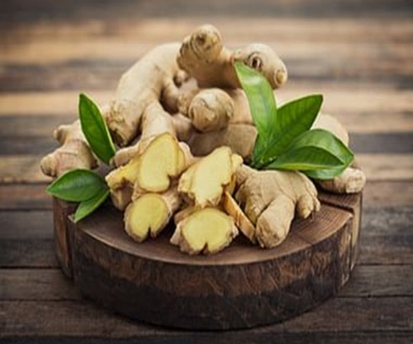 Nagarjuna Ayurveda Sahacharaadi Kashayam Ingredients