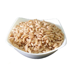 Freshon Whole Wheat Atta Standard - Distacart