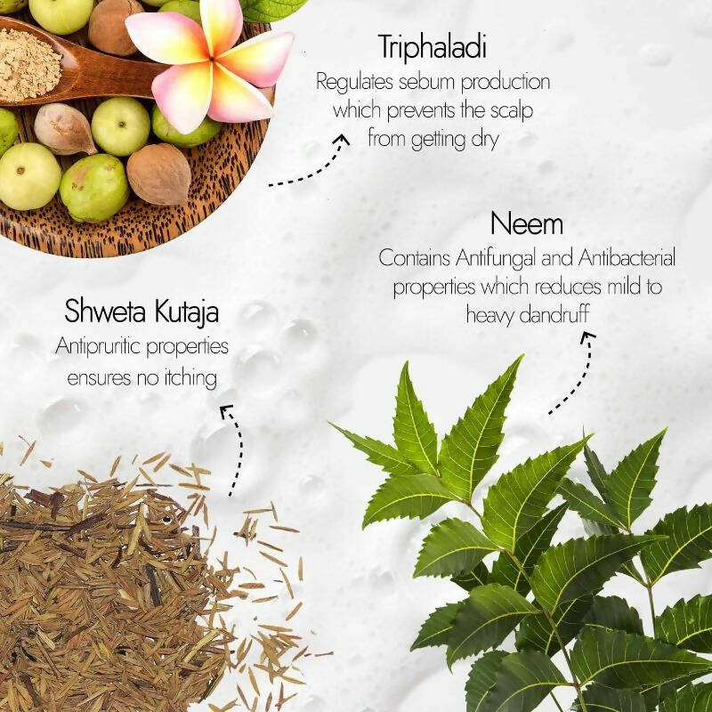Kapiva Ayurveda Hair Rituals Neem Triphaladi Shampoo for Dandruff Control - Distacart