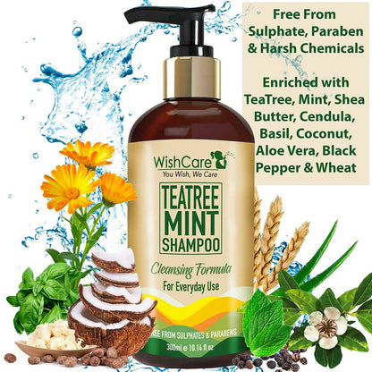 Wishcare Tea Tree Mint Shampoo - Distacart