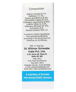 Thumbnail for Dr. Willmar Schwabe India Angioton Drop - Distacart