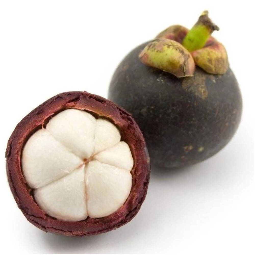 Freshon Kokum 
