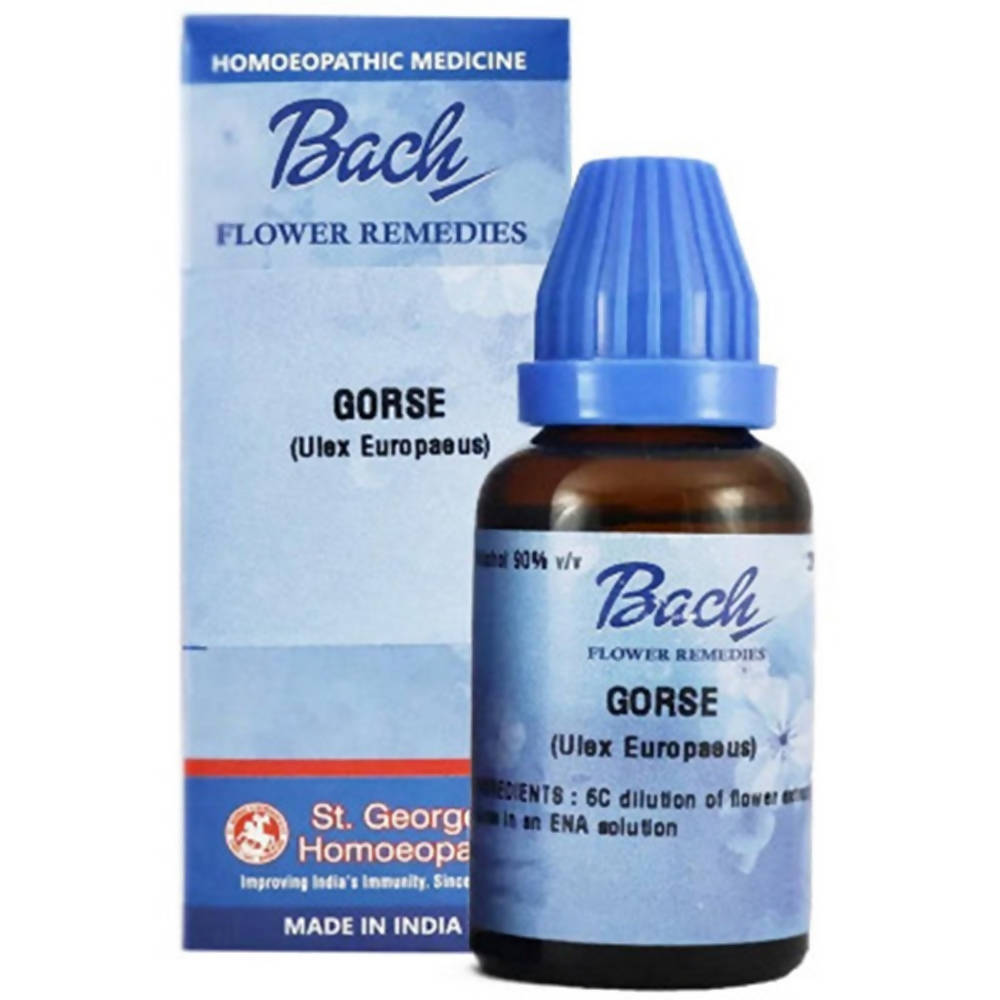St. George's Bach Flower Remedies Gorse Dilution