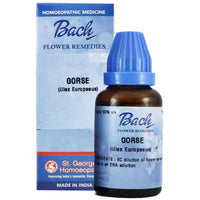 Thumbnail for St. George's Bach Flower Remedies Gorse Dilution