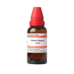 Thumbnail for Dr. Willmar Schwabe India Triticum Repens Dilution