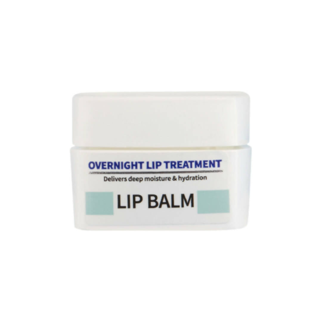Dermdoc Overnight Lip Treatment Lip Balm - Distacart