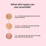 Thumbnail for Harkoi Treat My Skin Barrier | A Milky Serum + Moisturizer - Distacart