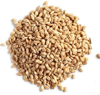 Thumbnail for Hebsur Herbals Barley Seeds - Distacart