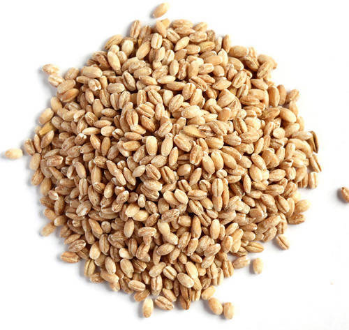 Hebsur Herbals Barley Seeds - Distacart