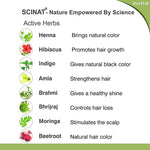 Thumbnail for Inatur Natural Hair Color