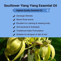 Thumbnail for Soulflower Ylang Ylang Essential Oil - Distacart