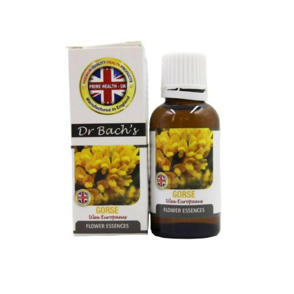 Dr. Bach's Gorse (Pure Essence) Bach Flower - Distacart