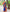 DEIANA'S Beautiful Golden Jari with New Design Soft Lichi Silk Saree - Royal Blue - Distacart