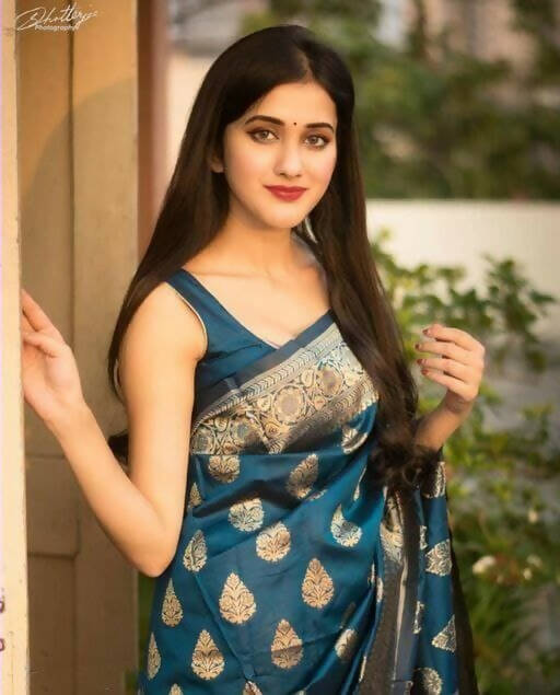 DEIANA'S Beautiful Golden Jari with New Design Soft Lichi Silk Saree - Navy Blue - Distacart