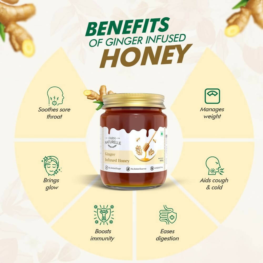 Farm Naturelle Ginger Infused Honey - Distacart