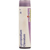 Boiron Homeopathy Lycopodium Clavatum