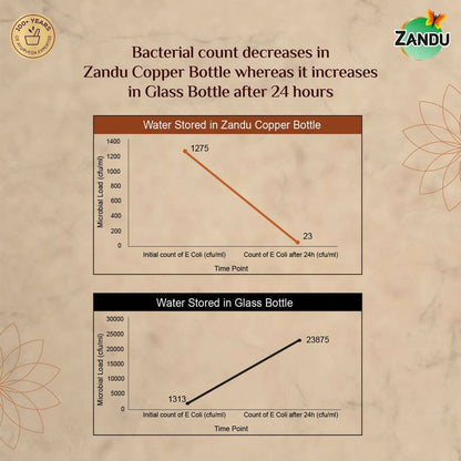 Zandu Copper Water Bottle - Distacart