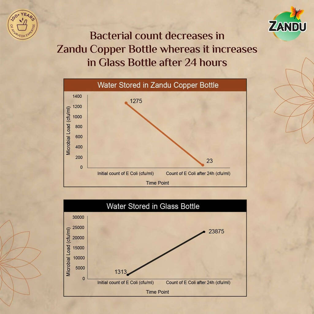 Zandu Copper Water Bottle - Distacart