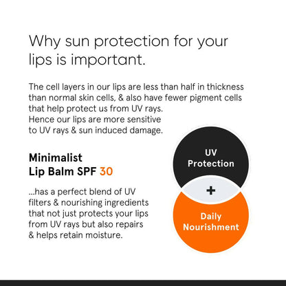 Minimalist SPF 30 Lip Balm For Protection & Nourishment - Distacart