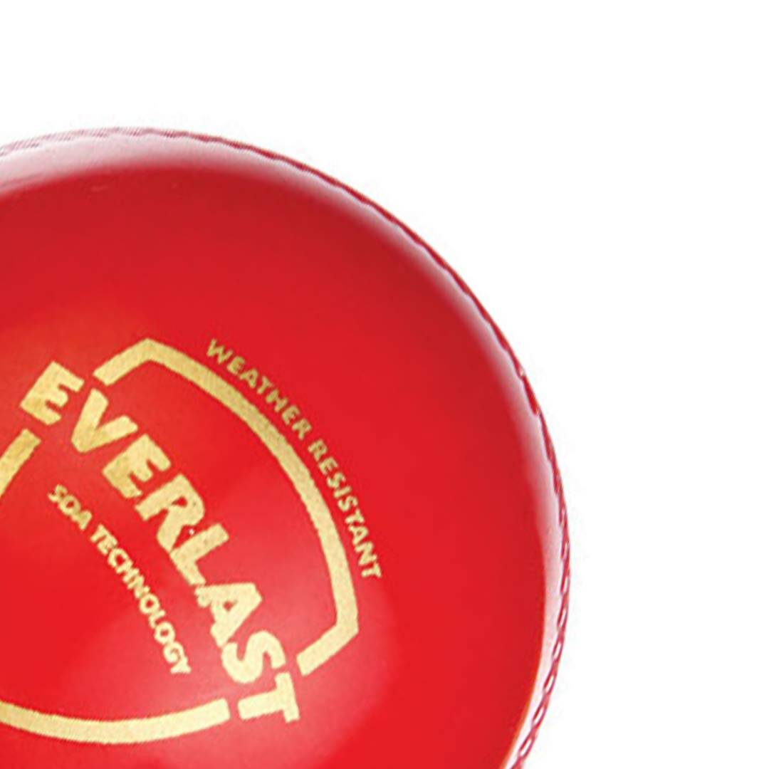SG Everlast Leather Cricket Ball - Red - Distacart