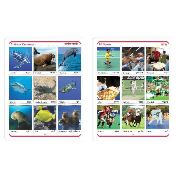 Jolly Kids Cut & Paste Project, Activities & Scrap Books Set of 4| Activity Charts-Flowers, Animals, National Flags etc - Distacart