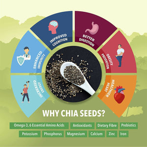 Fulsome Premium White Chia Seeds - Distacart