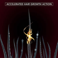 Thumbnail for Shaving Company Onion & Bhringraj Hair Growth Oil
