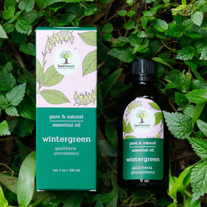 Lastforest Therapeutic Essential Oil Wintergreen - Distacart